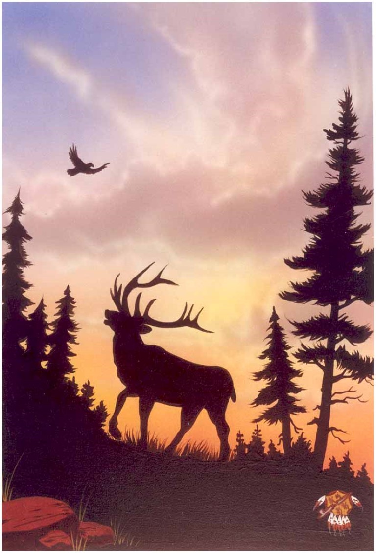We did not think of the great open plains, the beautiful rolling hills and winding streams with tangled growth as “Wild”.  Earth was bountiful and we were surrounded with the blessings of the “Great Mystery”.